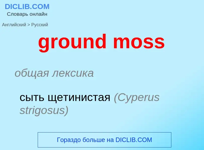 Como se diz ground moss em Russo? Tradução de &#39ground moss&#39 em Russo