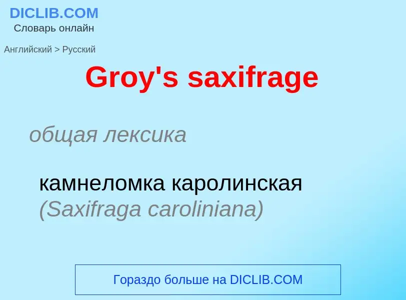 Как переводится Groy's saxifrage на Русский язык