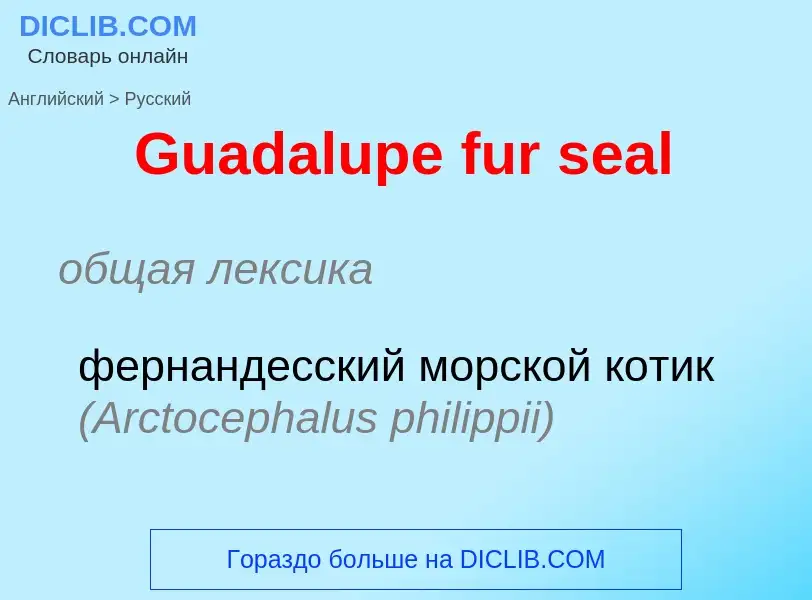 Как переводится Guadalupe fur seal на Русский язык