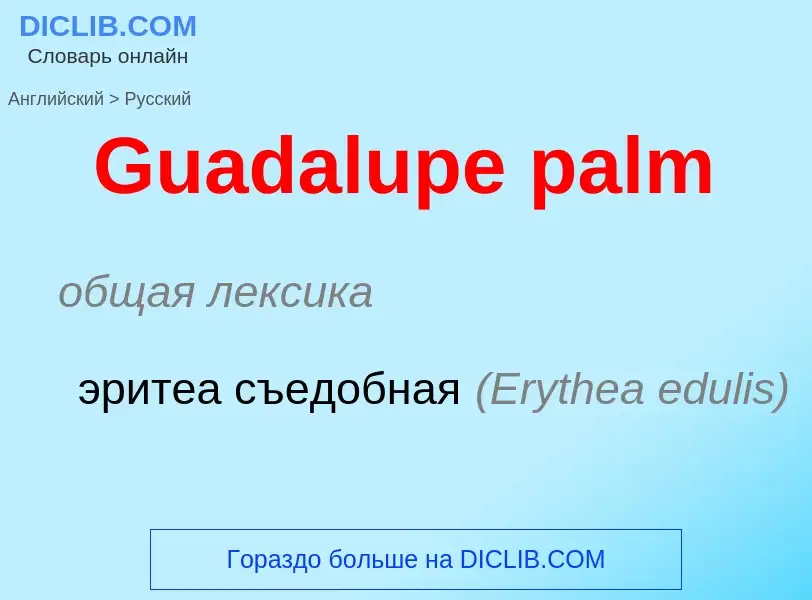 Как переводится Guadalupe palm на Русский язык