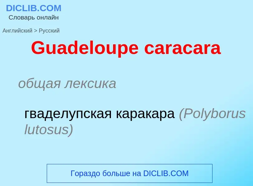 Как переводится Guadeloupe caracara на Русский язык