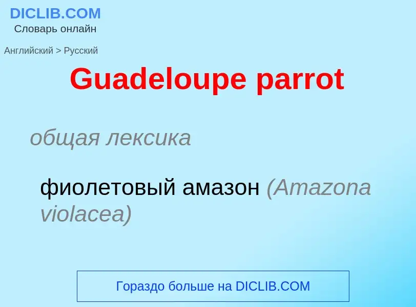 Как переводится Guadeloupe parrot на Русский язык