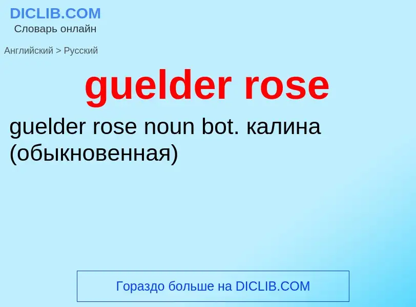 Vertaling van &#39guelder rose&#39 naar Russisch