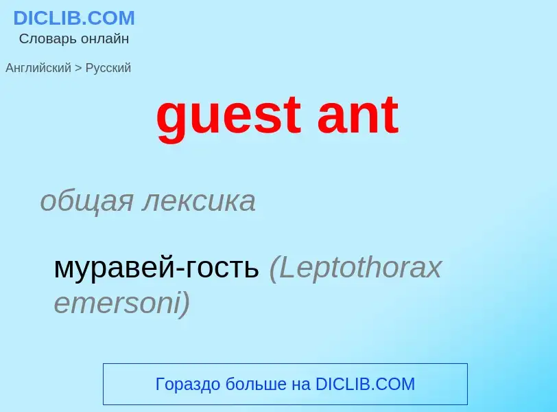 Vertaling van &#39guest ant&#39 naar Russisch