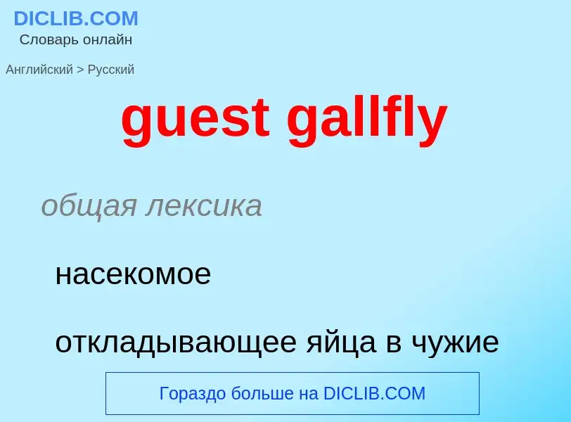 What is the Russian for guest gallfly? Translation of &#39guest gallfly&#39 to Russian