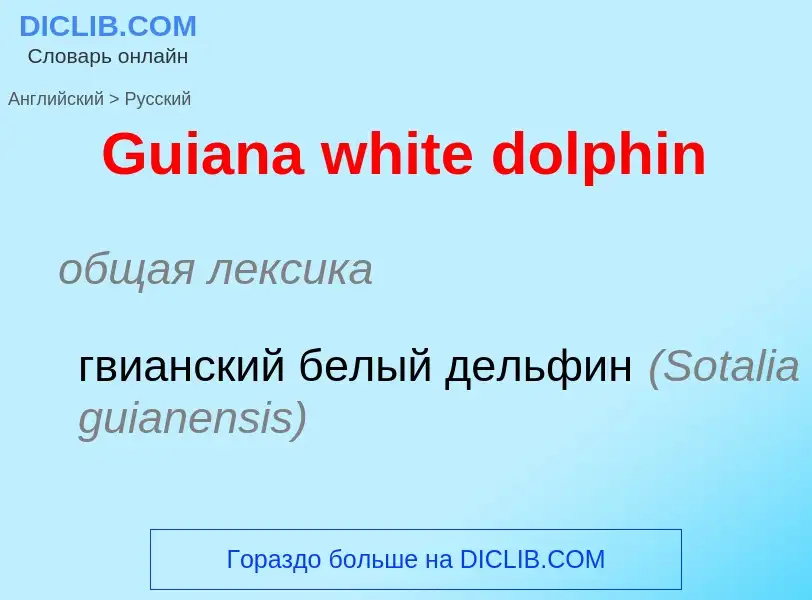 Как переводится Guiana white dolphin на Русский язык