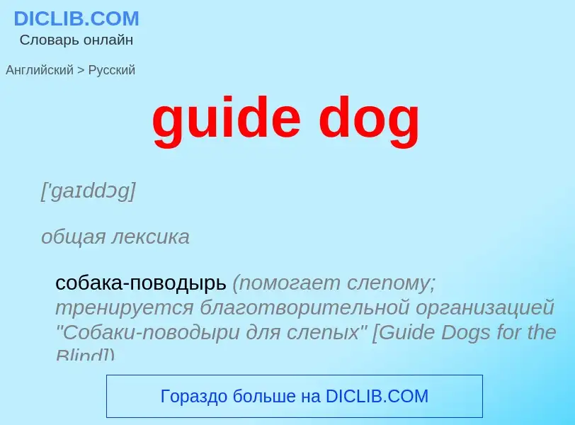 Vertaling van &#39guide dog&#39 naar Russisch