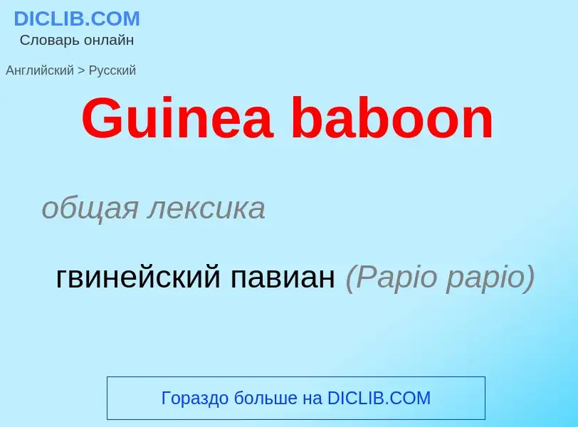 Как переводится Guinea baboon на Русский язык