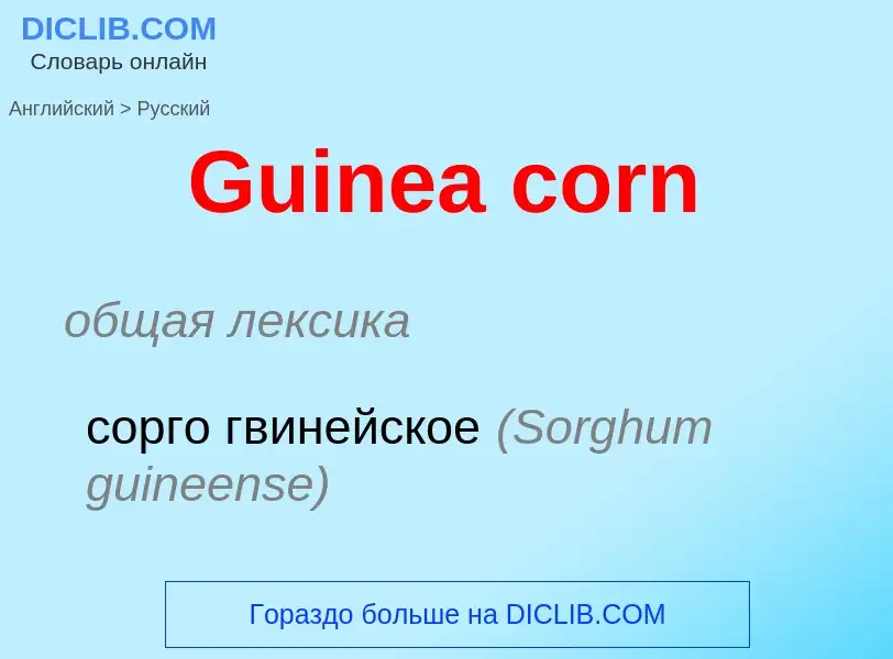 Как переводится Guinea corn на Русский язык