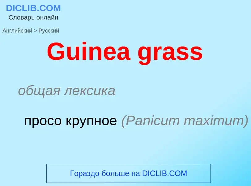 Как переводится Guinea grass на Русский язык