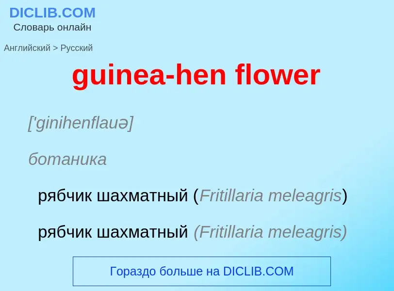 Vertaling van &#39guinea-hen flower&#39 naar Russisch