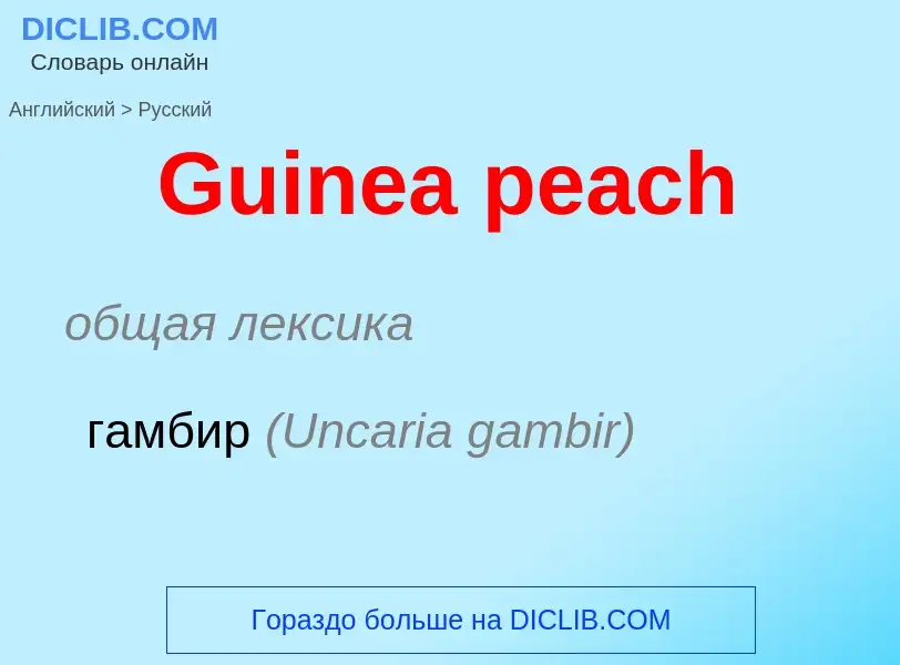 Как переводится Guinea peach на Русский язык