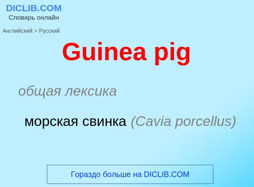 Как переводится Guinea pig на Русский язык