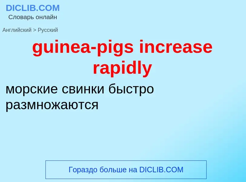 Vertaling van &#39guinea-pigs increase rapidly&#39 naar Russisch