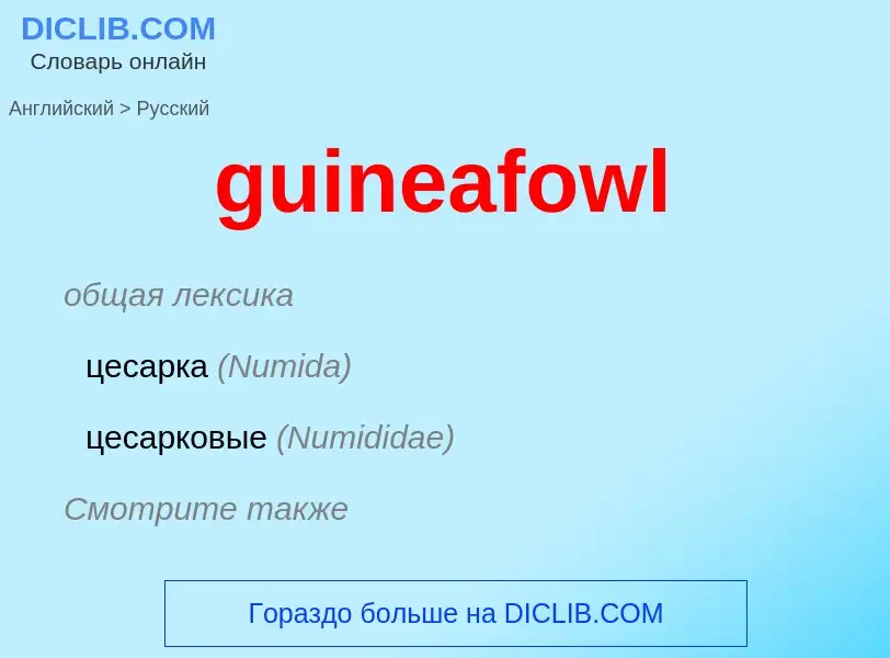 Vertaling van &#39guineafowl&#39 naar Russisch