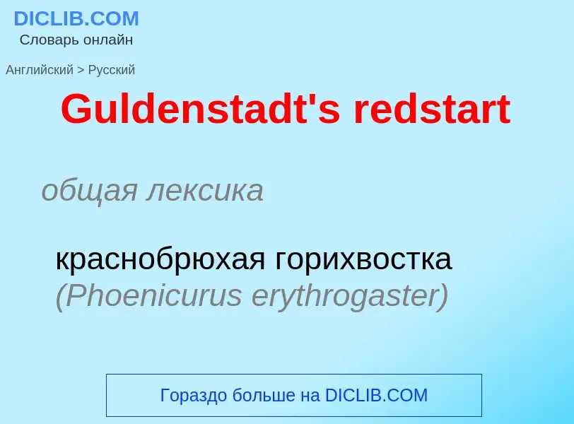 Как переводится Guldenstadt's redstart на Русский язык