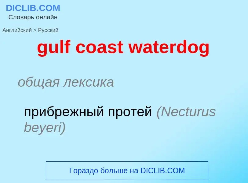 Vertaling van &#39gulf coast waterdog&#39 naar Russisch