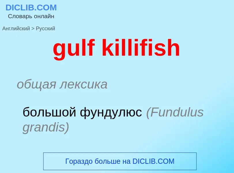 ¿Cómo se dice gulf killifish en Ruso? Traducción de &#39gulf killifish&#39 al Ruso