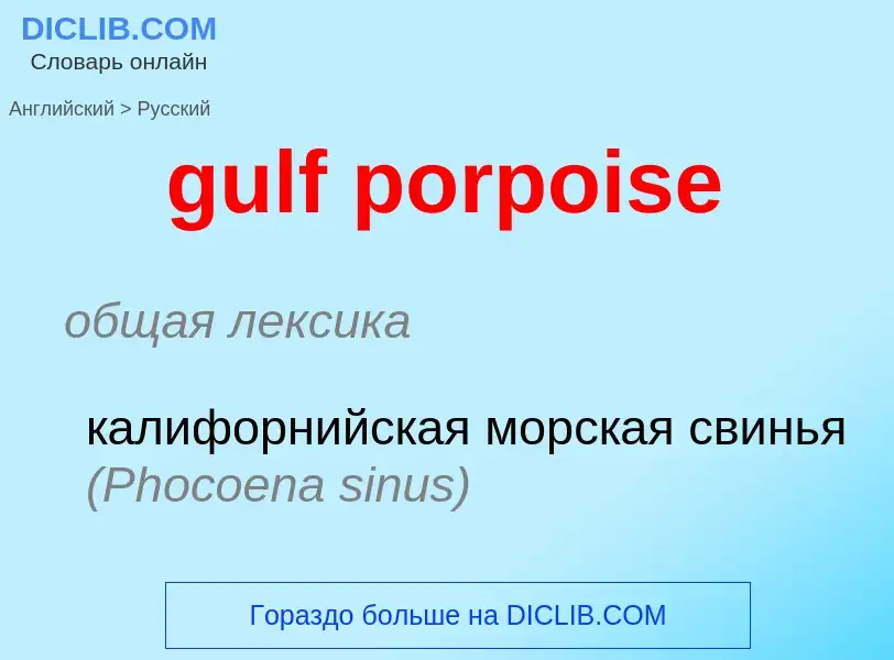 Vertaling van &#39gulf porpoise&#39 naar Russisch