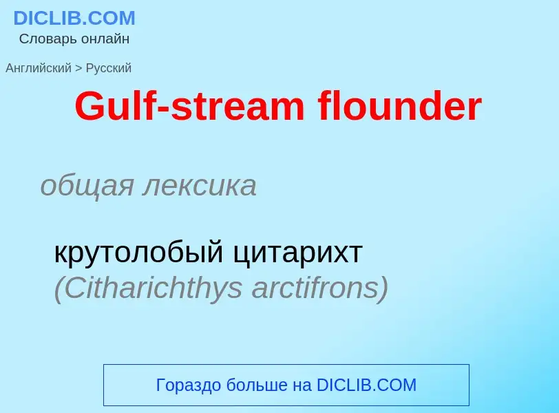 What is the Russian for Gulf-stream flounder? Translation of &#39Gulf-stream flounder&#39 to Russian