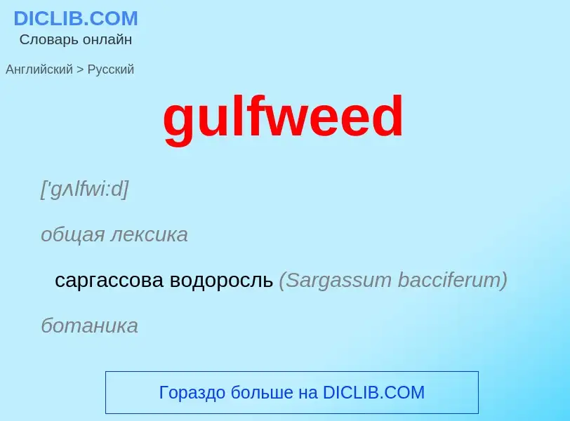 Vertaling van &#39gulfweed&#39 naar Russisch