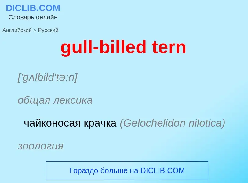 Vertaling van &#39gull-billed tern&#39 naar Russisch