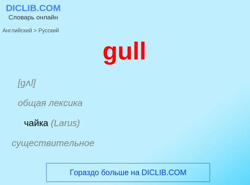 Как переводится gull на Русский язык