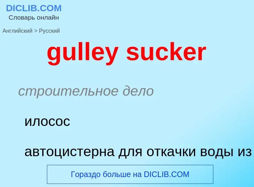 Vertaling van &#39gulley sucker&#39 naar Russisch