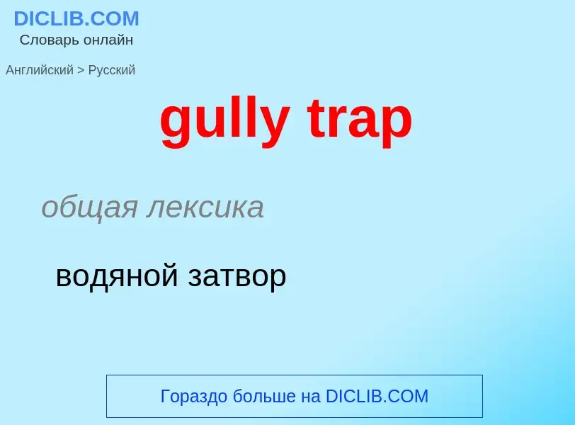 Vertaling van &#39gully trap&#39 naar Russisch