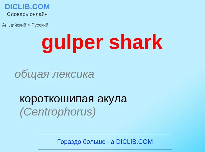 Vertaling van &#39gulper shark&#39 naar Russisch