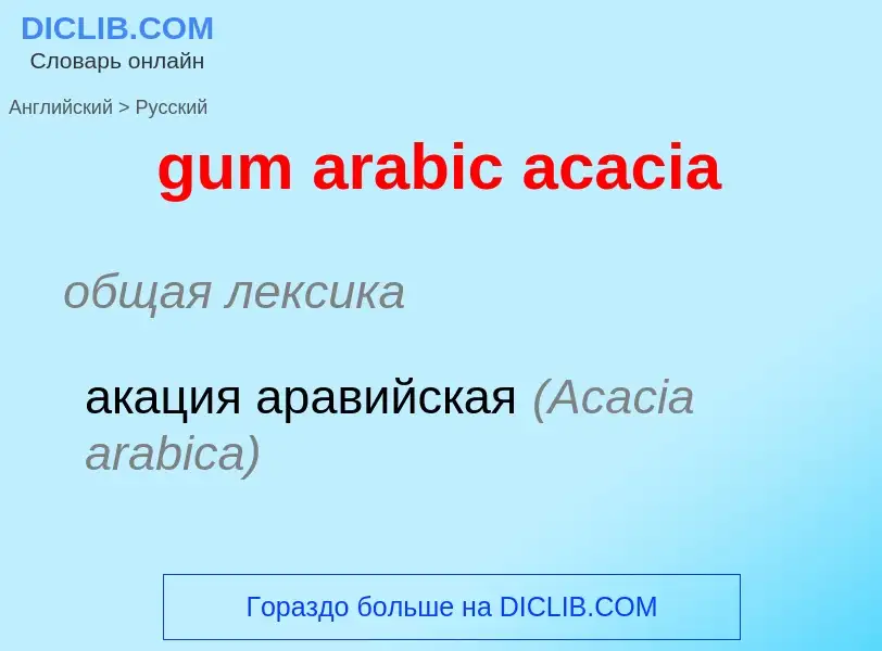 Como se diz gum arabic acacia em Russo? Tradução de &#39gum arabic acacia&#39 em Russo