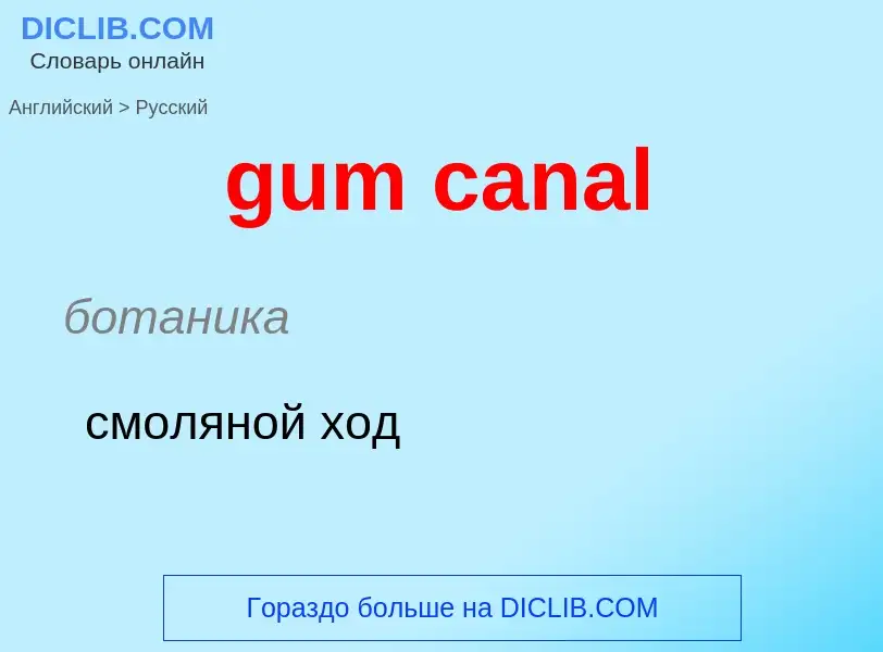 Vertaling van &#39gum canal&#39 naar Russisch