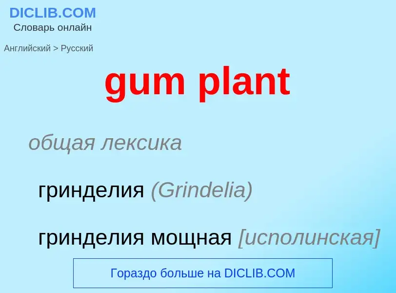 Como se diz gum plant em Russo? Tradução de &#39gum plant&#39 em Russo