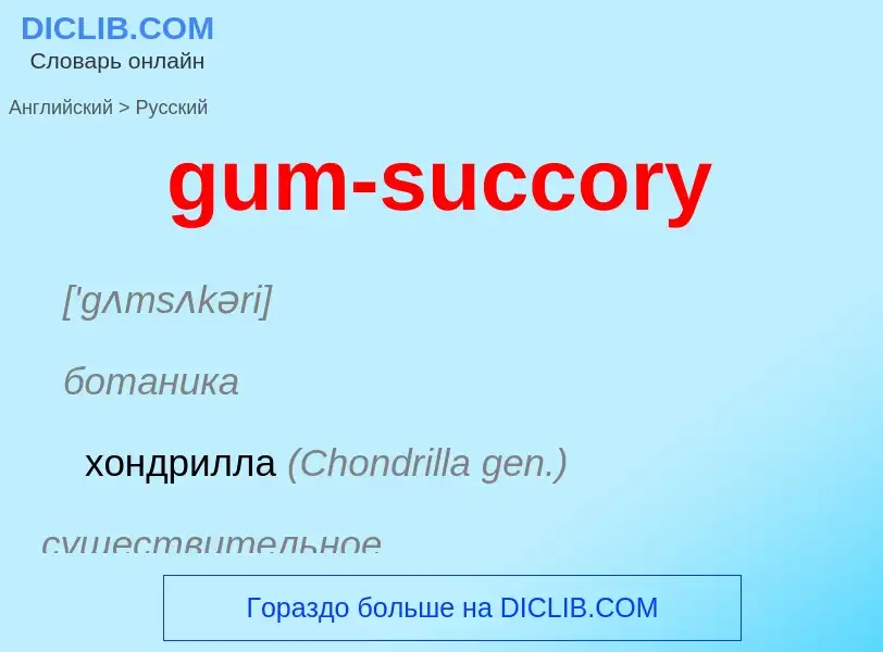 Como se diz gum-succory em Russo? Tradução de &#39gum-succory&#39 em Russo