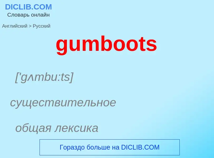 Vertaling van &#39gumboots&#39 naar Russisch