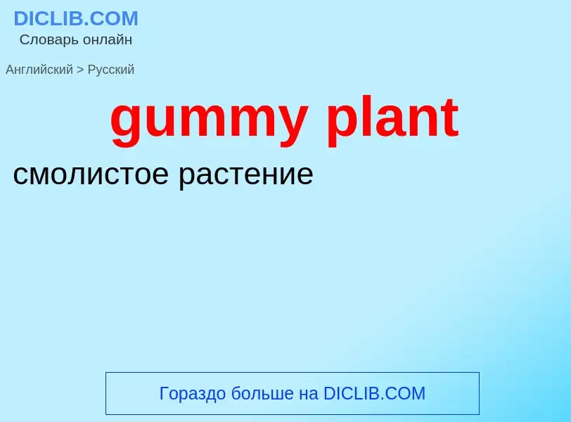 Vertaling van &#39gummy plant&#39 naar Russisch