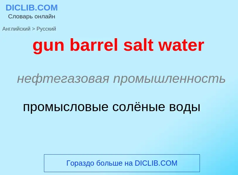 Vertaling van &#39gun barrel salt water&#39 naar Russisch