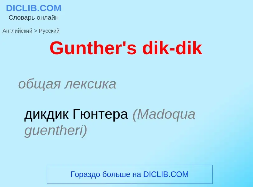 Как переводится Gunther's dik-dik на Русский язык