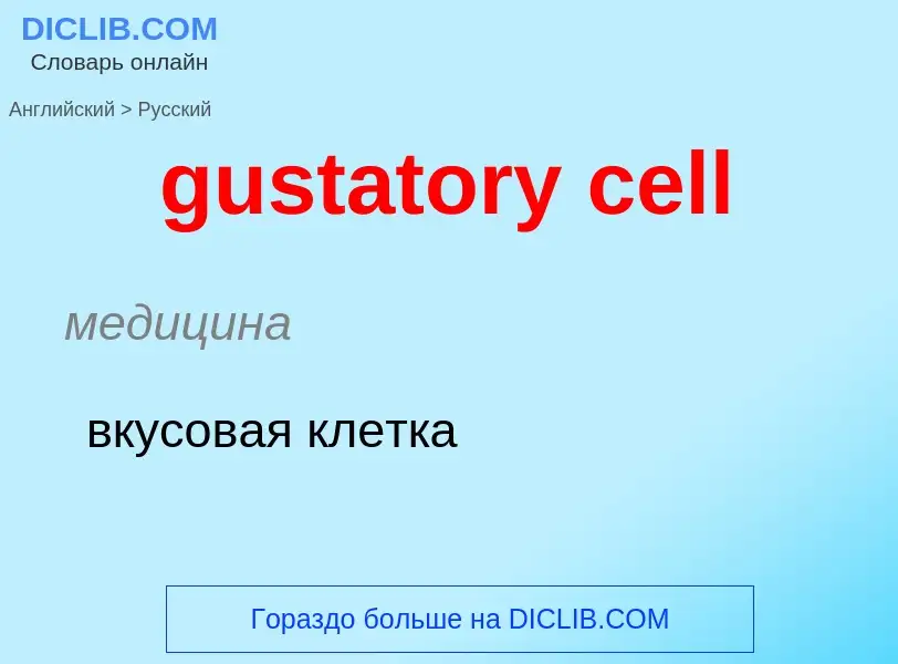 Übersetzung von &#39gustatory cell&#39 in Russisch