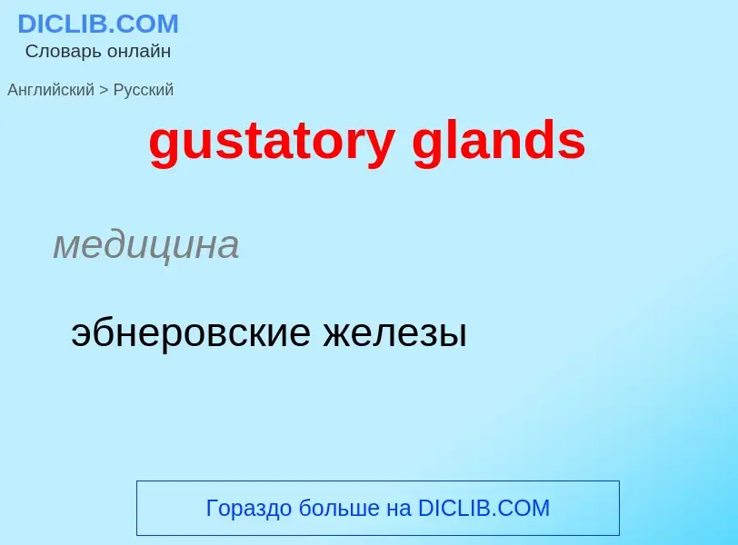 Как переводится gustatory glands на Русский язык