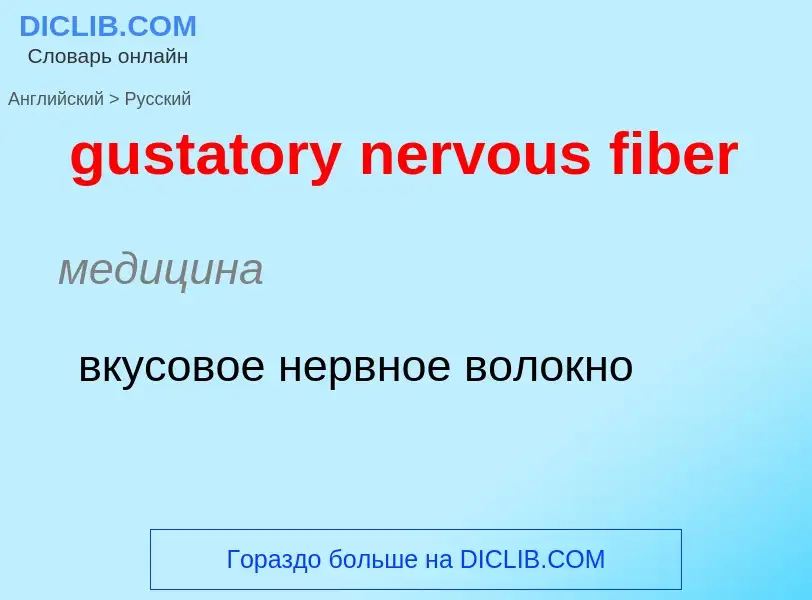 Как переводится gustatory nervous fiber на Русский язык