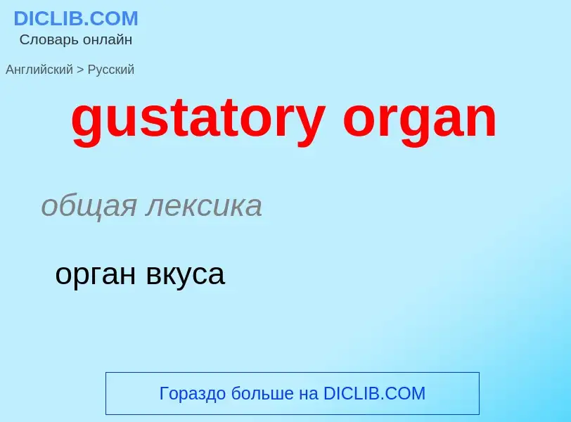 Как переводится gustatory organ на Русский язык