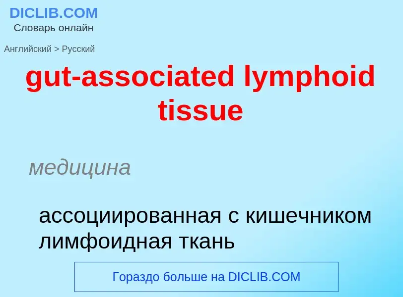 Как переводится gut-associated lymphoid tissue на Русский язык