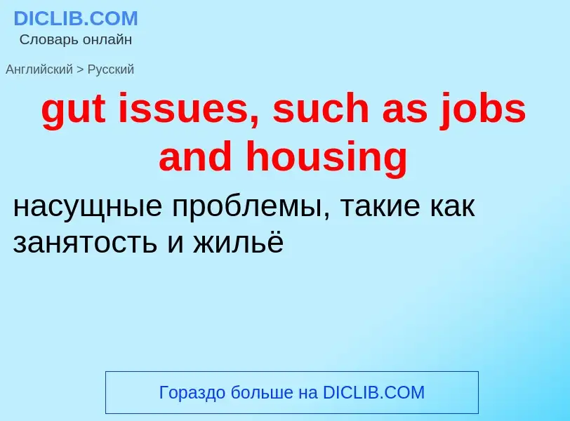 Как переводится gut issues, such as jobs and housing на Русский язык