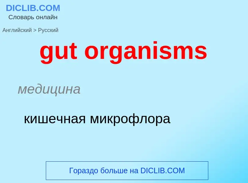 Как переводится gut organisms на Русский язык