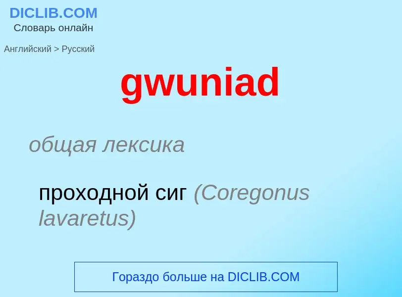 Как переводится gwuniad на Русский язык