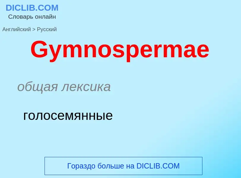 Как переводится Gymnospermae на Русский язык