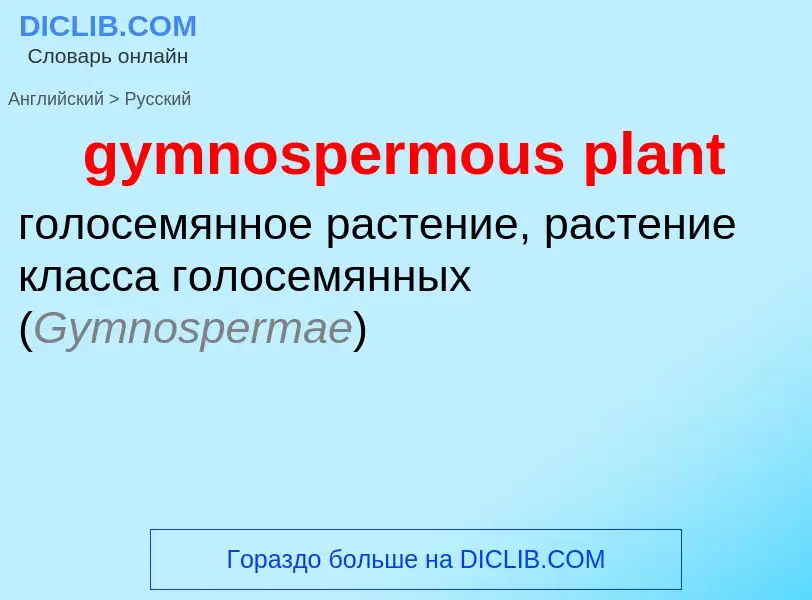 Como se diz gymnospermous plant em Russo? Tradução de &#39gymnospermous plant&#39 em Russo