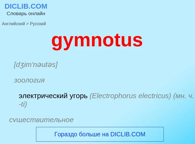 Como se diz gymnotus em Russo? Tradução de &#39gymnotus&#39 em Russo