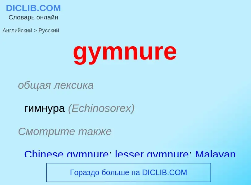 Como se diz gymnure em Russo? Tradução de &#39gymnure&#39 em Russo